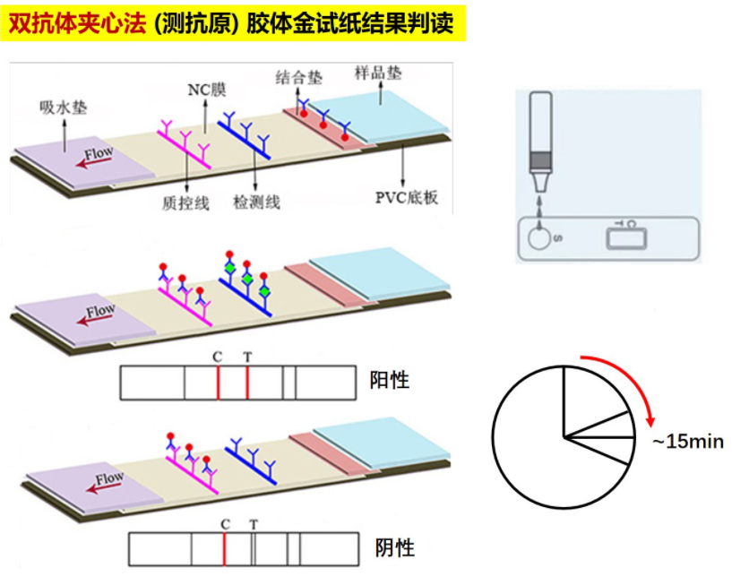 20221228-自来水为什么会被检测出“阳性”信号？-网络-检测试剂盒原理.png